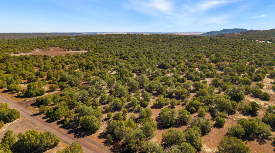 Parcel10750002C-VernonAZ-6
