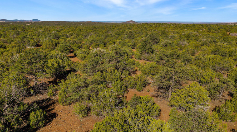 Parcel10750002C-VernonAZ-9