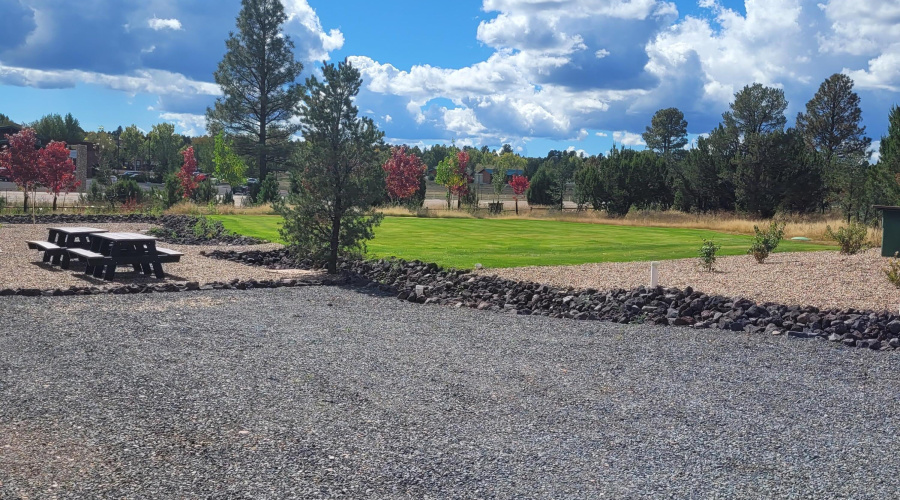 RR _11_Grass_area_2025