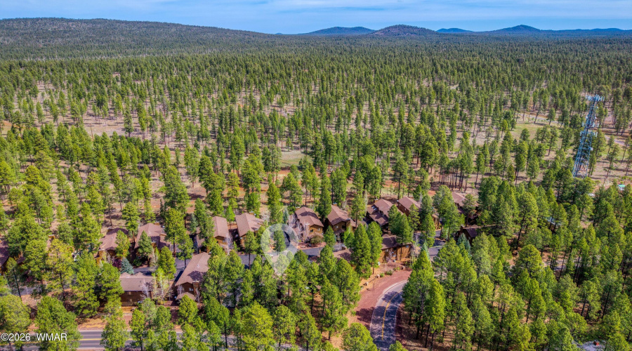 018_photo18_4503_stone_pine_dr_pt_az_859