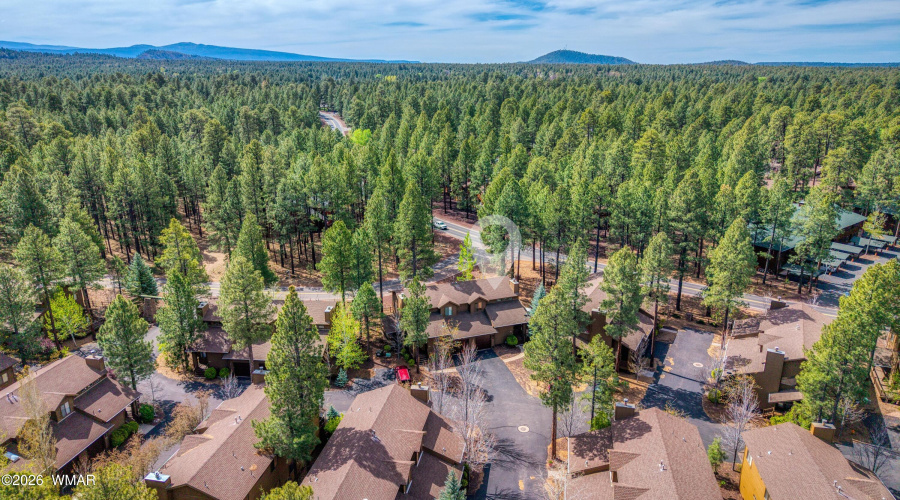 019_photo19_4503_stone_pine_dr_pt_az_859