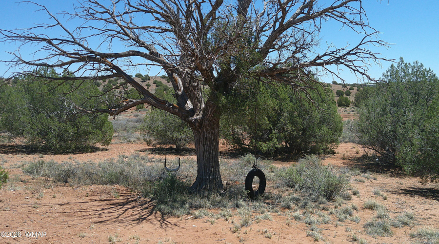 DSCF0064
