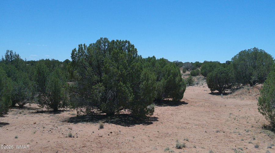 DSCF0065
