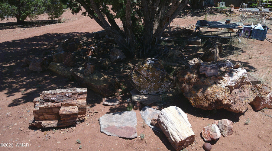 DSCF0076