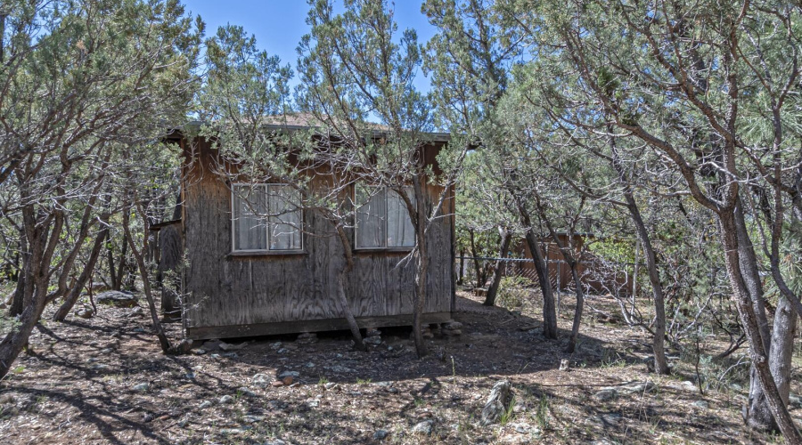Shed