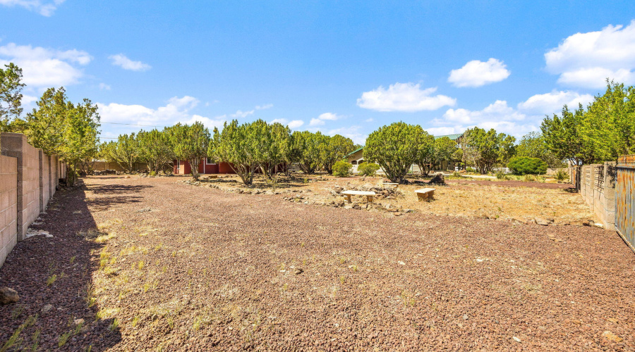 8455RidgeDr-ShowLow-AZ-41