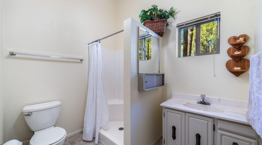 7456GeronimoRd-Pinetop-AZ-22