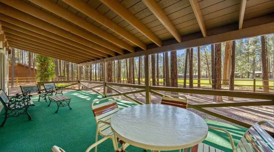 7456GeronimoRd-Pinetop-AZ-27
