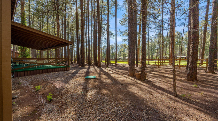 7456GeronimoRd-Pinetop-AZ-30