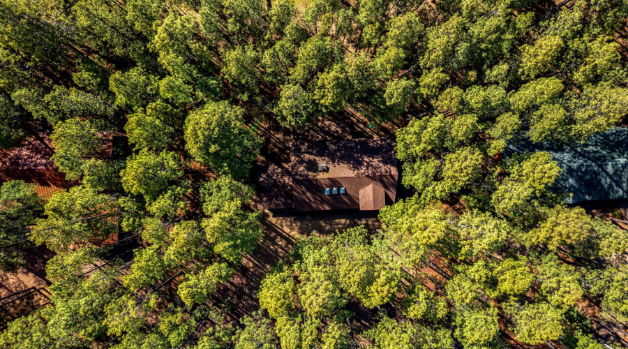 7456GeronimoRd-Pinetop-AZ-32