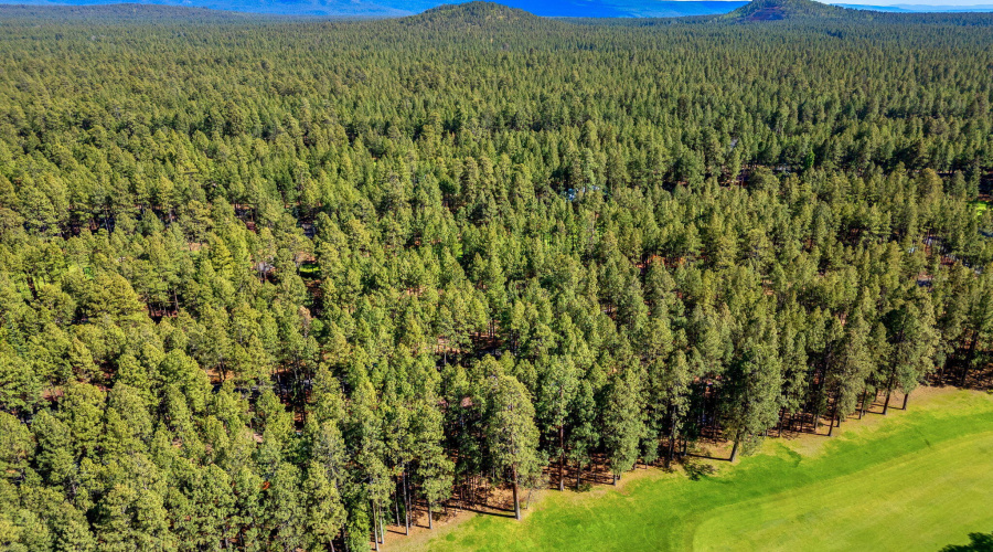 7456GeronimoRd-Pinetop-AZ-33