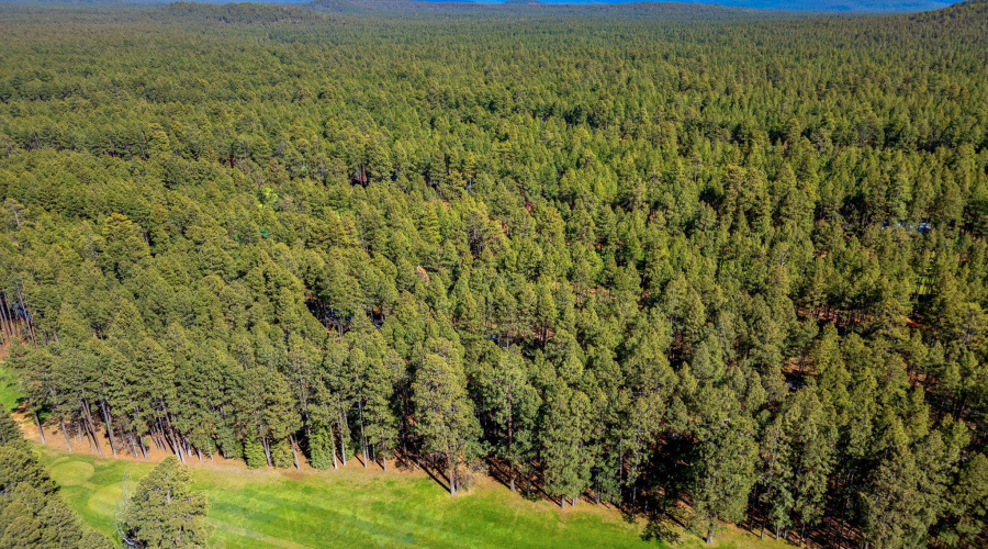 7456GeronimoRd-Pinetop-AZ-34