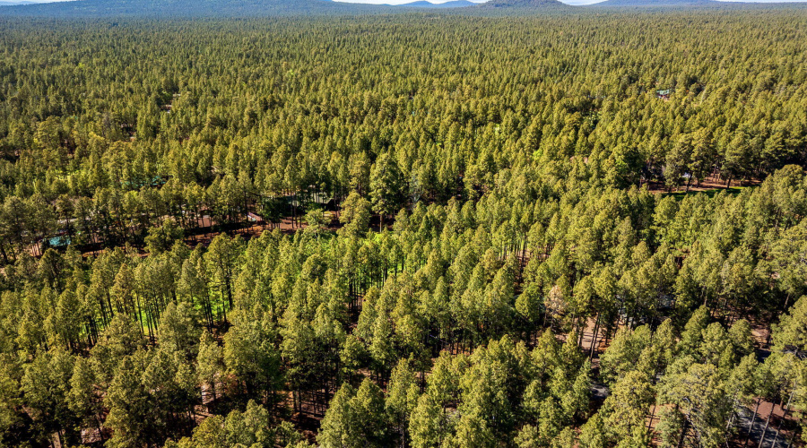 7456GeronimoRd-Pinetop-AZ-36