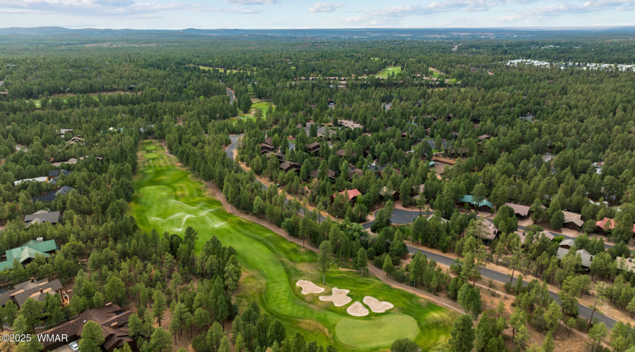 Ponderosa Pines