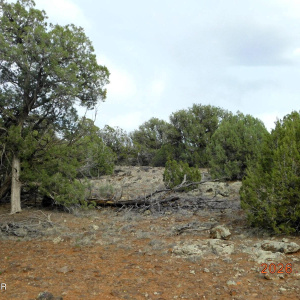 2122 DAWN PLACE SHOW LOW, AZ 85901