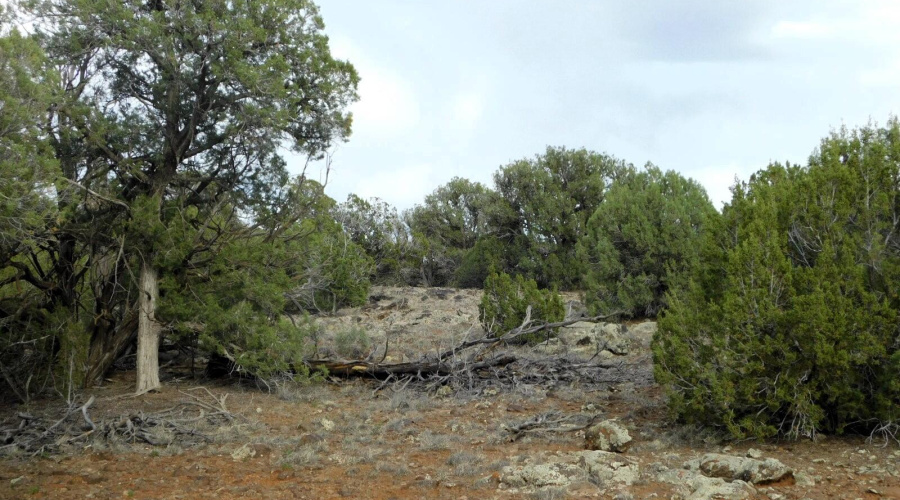 2122 DAWN PLACE SHOW LOW, AZ 85901