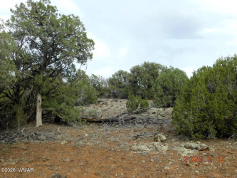 2122 Dawn Place, Show Low, Arizona 85901, ,Land,For Sale,Dawn,261081