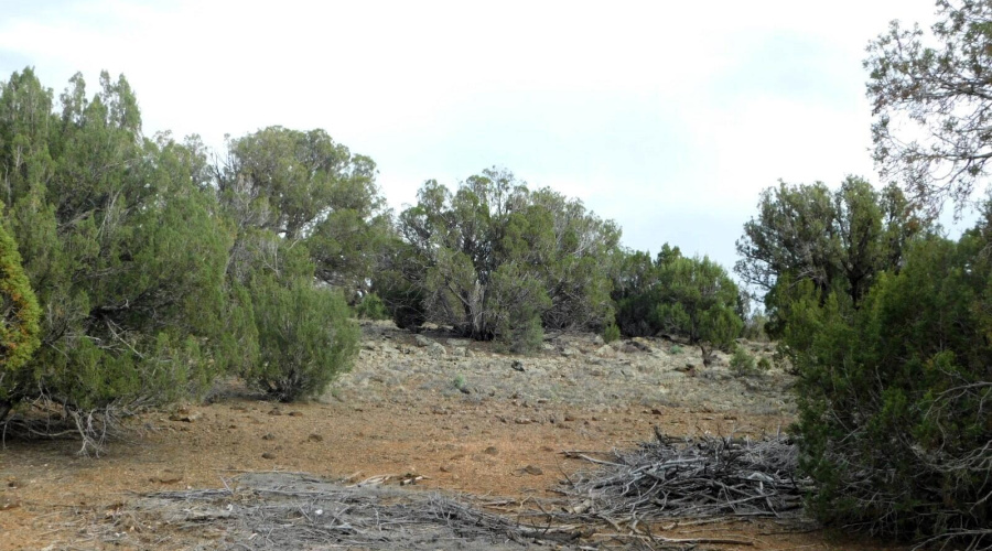 2122 DAWN PLACE SHOW LOW, AZ 85901