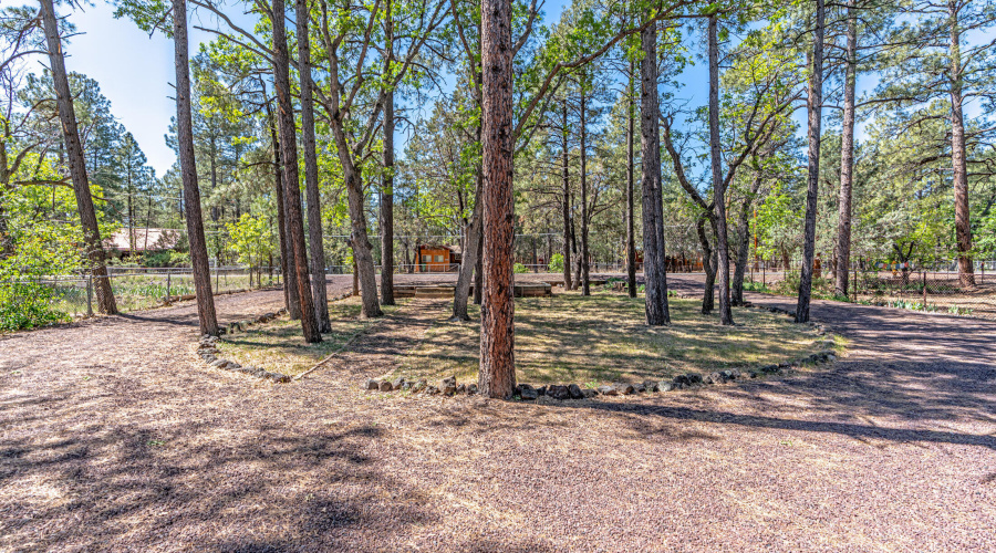 Round about driveway