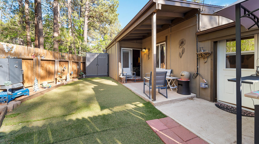 Backyard