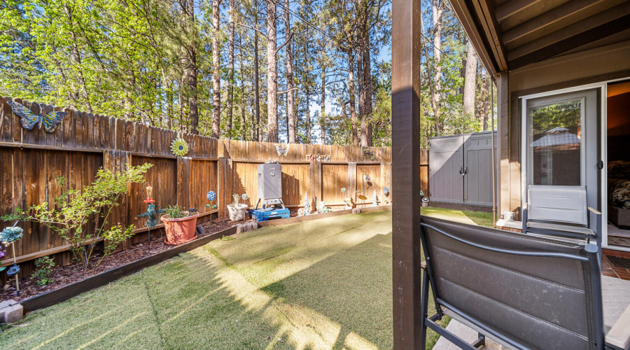 Backyard