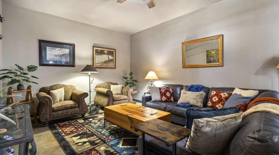 Basement Living Room