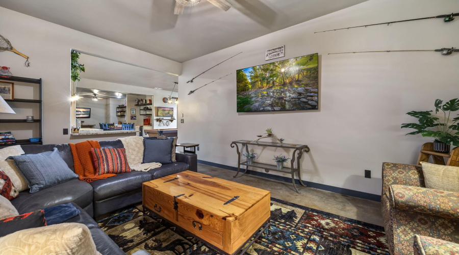Basement Living Room