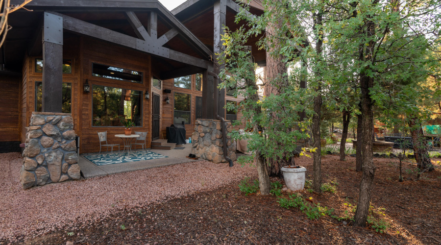 back yard