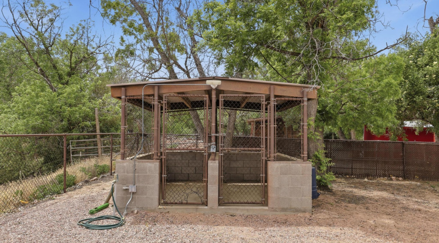 Chain Link Kennel
