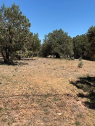 Lot 46 Park Rd, Payson, Arizona 85541, ,Land,For Sale,Park Rd,94022