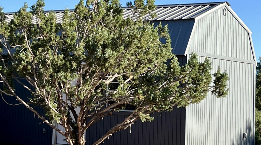 Shed:Office