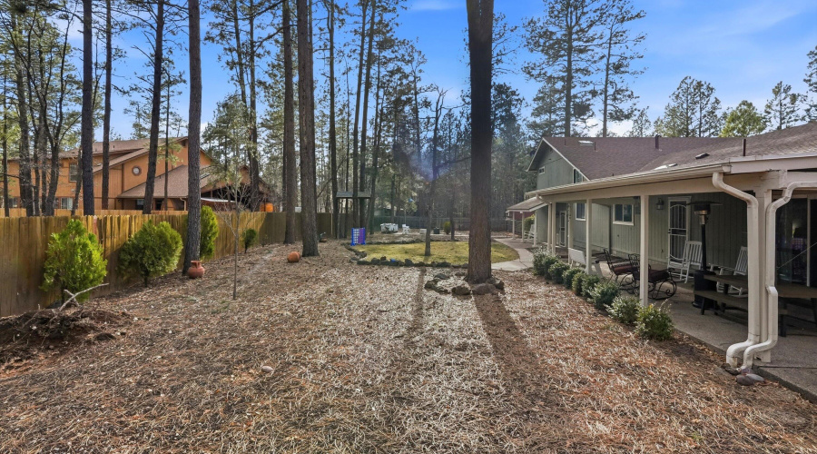 45-DSC01435