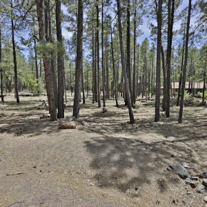 2682 Brahma Circle