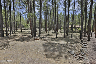 2682 Brahma Circle, Pinetop, Arizona 85935, ,Land,For Sale,Brahma,261124