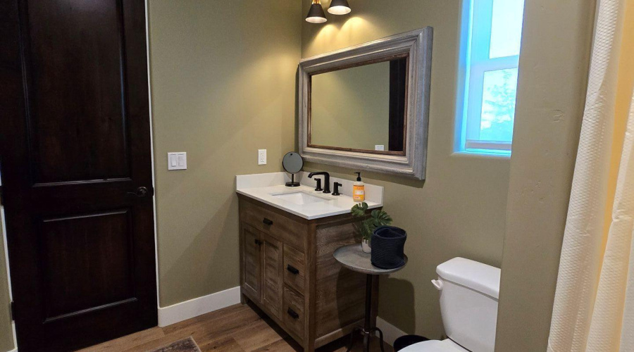 Shared Jack and Jill Bathrrom sink and t