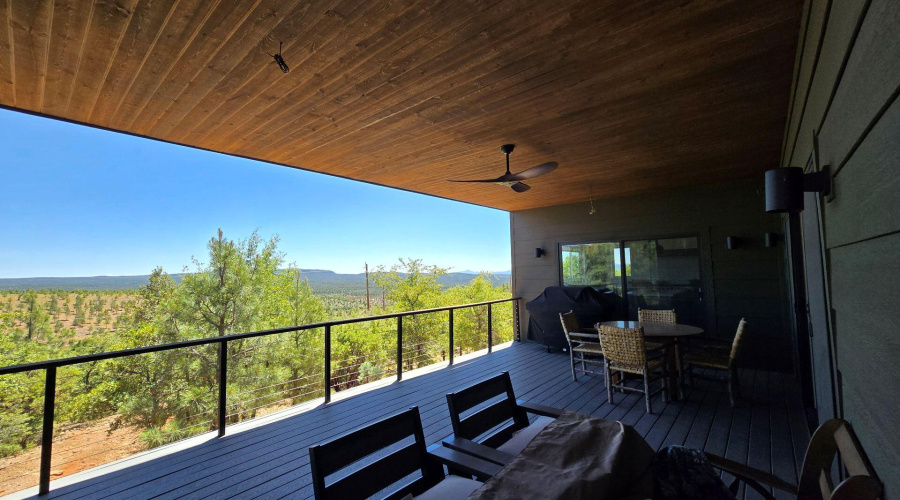 Back Porch Full Veiw with Grill