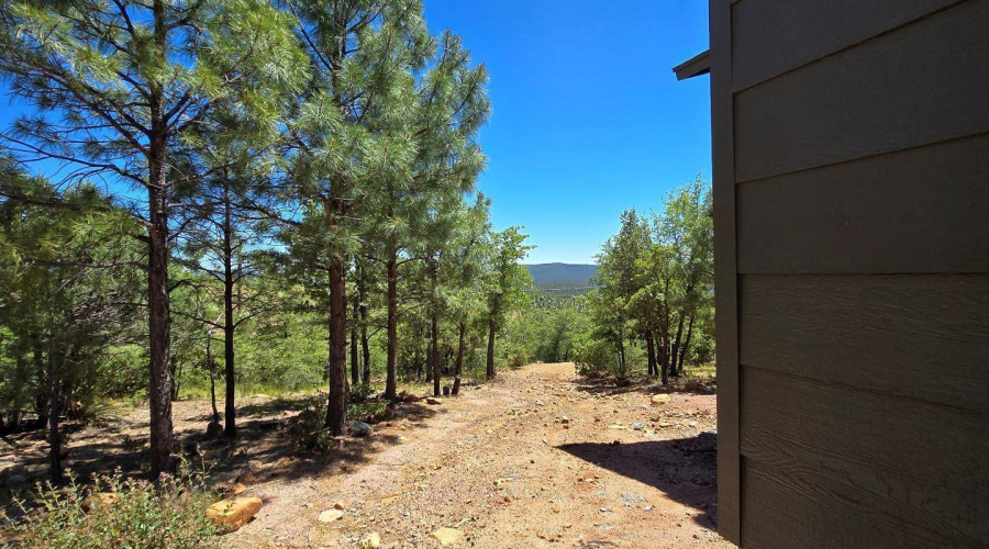Back Driveway