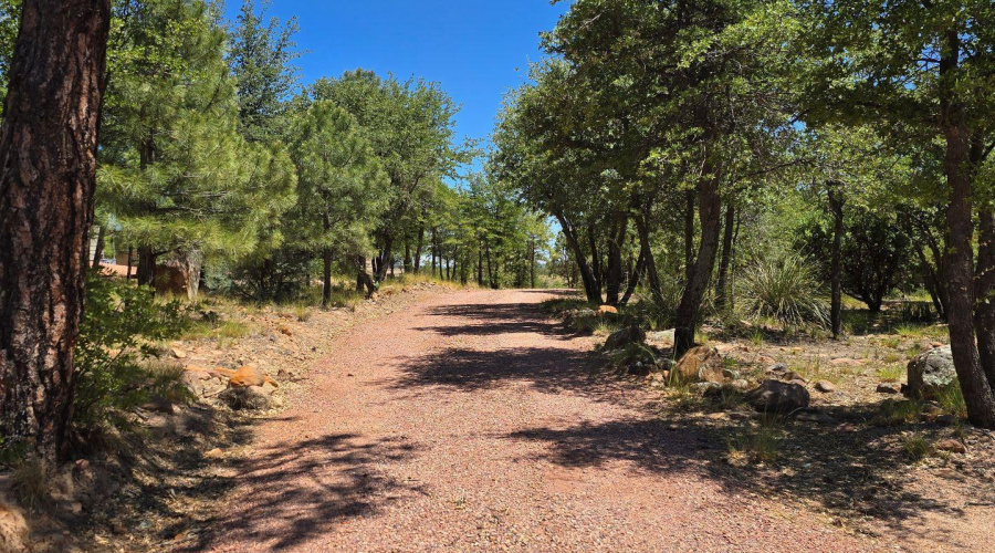Front Driveway