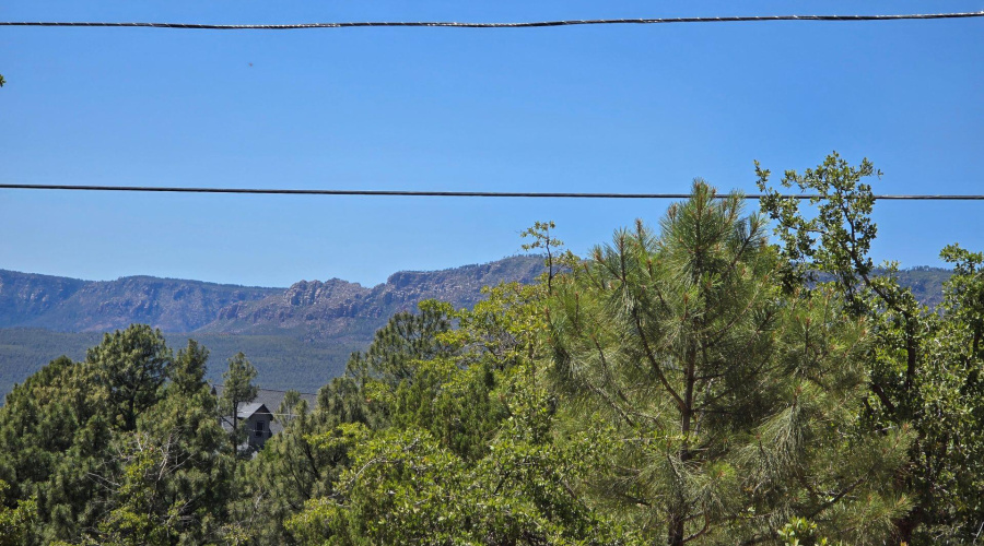 Landscape Veiw