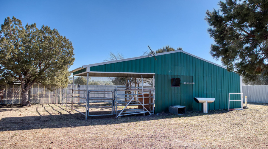 paxmanphoto_PAX_7391