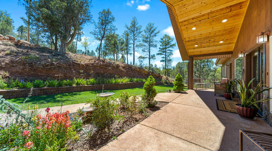 Front Patio/Yard
