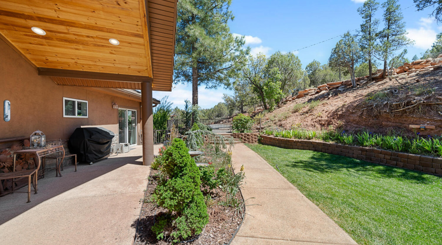 Front Patio/Yard
