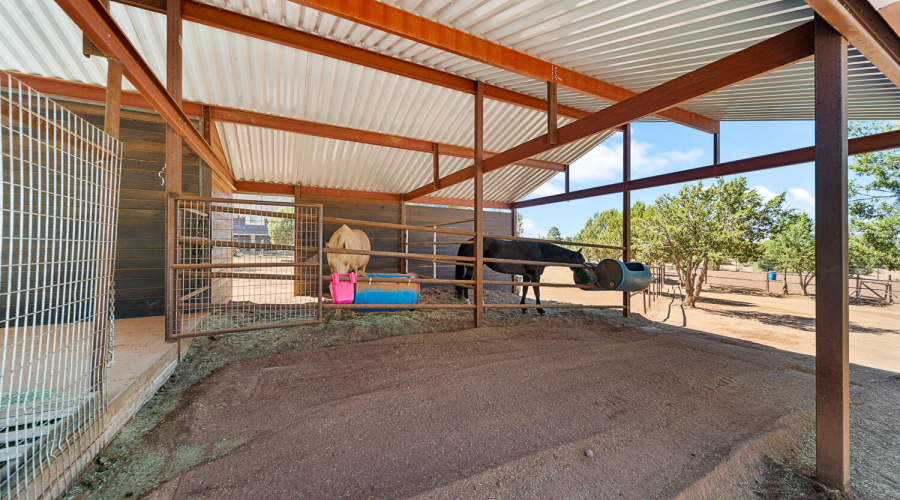 Stalls and Run In