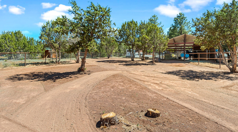 Extra Paddock Area