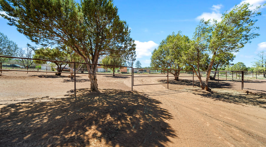 Shaded Paddock Area