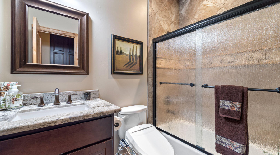 Guest Bath Downstairs
