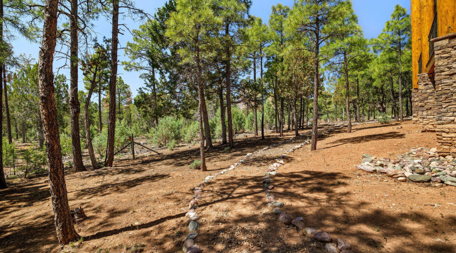 Back of Property
