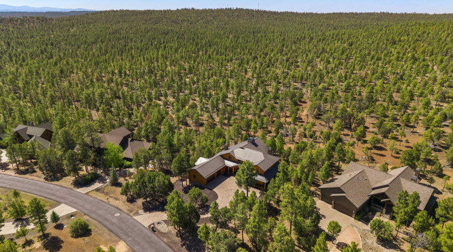 2220SMonkshoodRd-ShowLow-AZ-63
