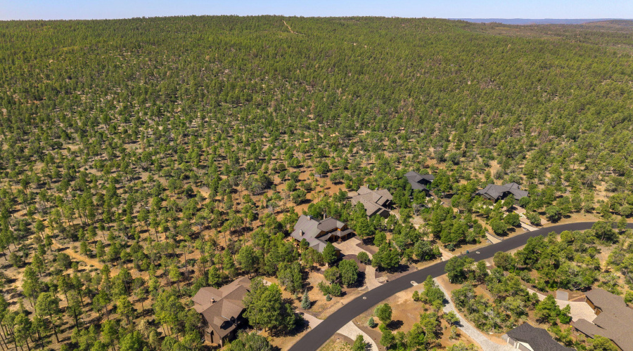 2220SMonkshoodRd-ShowLow-AZ-64