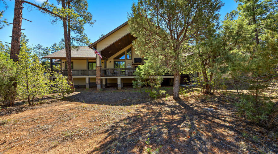 2101STrillium-ShowLow-AZ-43